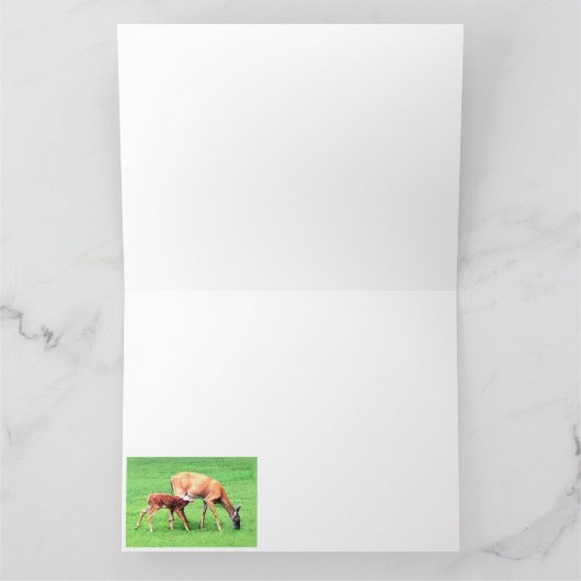 Carte Cerf (Intérieur)