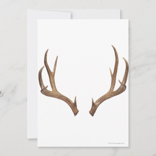 Carte Cerf à dix points (Devant)