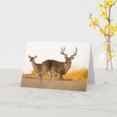 Carte Cerf à queue blanche | Automne au Texas (Fleur jaune)