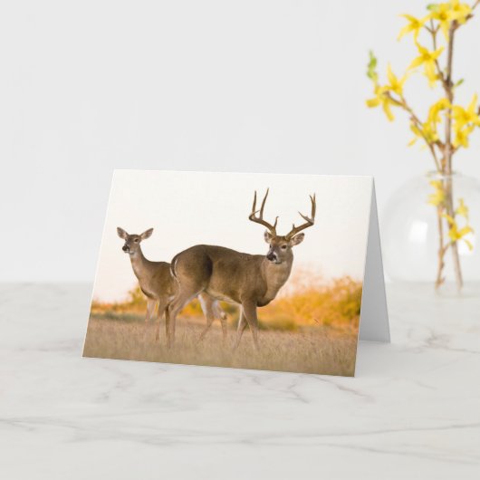 Carte Cerf à queue blanche | Automne au Texas (Fleur jaune)