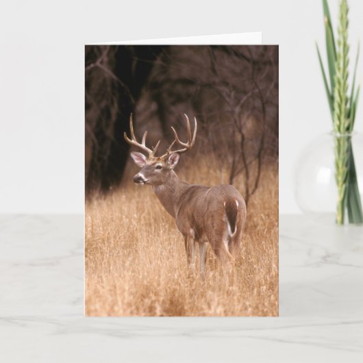 Carte Cerf à queue blanche | Choke Canyon State Park, TX (Devant)