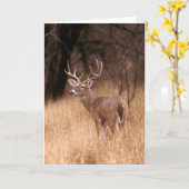 Carte Cerf à queue blanche | Choke Canyon State Park, TX (Fleur jaune)