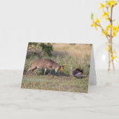 Carte Cerf à queue blanche combattant un dindon sauvage (Fleur jaune)