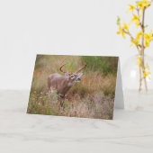 Carte Cerf à queue blanche en automne au Texas (Fleur jaune)