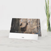 Carte Cerf à queue blanche Joyeux anniversaire (Dos)