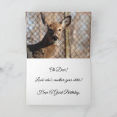 Carte Cerf à queue blanche Joyeux anniversaire (Intérieur)