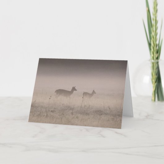 Carte Cerf à queue blanche - Matinée d'hiver calme  (Devant)