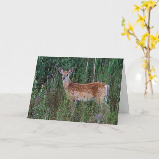 Carte Cerf à queue blanche | National Bison Range Montan (Fleur jaune)