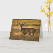 Carte Cerf à queue blanche | Sud du Texas (Fleur jaune)