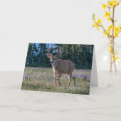 Carte Cerf à queue noire | Parc national Olympique (Fleur jaune)