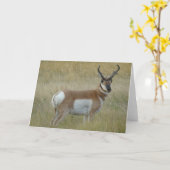 Carte Cerf antilope A1 (Fleur jaune)