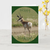 Carte Cerf antilope A39 (Fleur jaune)
