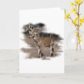 Carte Cerf blanc dans le champ (Fleur jaune)