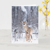 Carte Cerf dans la neige (Fleur jaune)