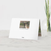 Carte Cerf de queue blanche *blanc* (Dos)