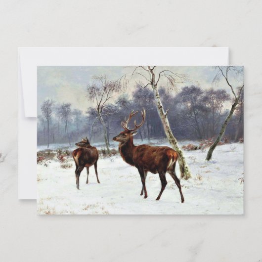 Carte Cerf et biche dans un paysage enneigé (Devant)