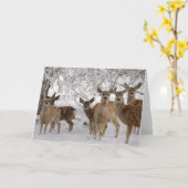 Carte Cerf Mule Wyoming (Fleur jaune)