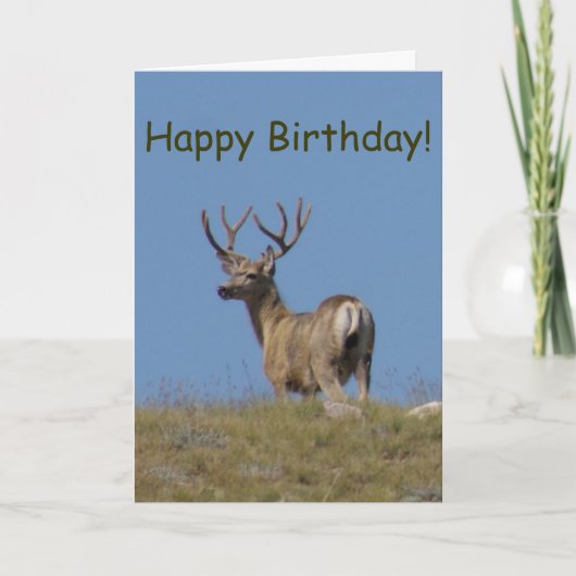 Carte Cerf mulet D9a en velours (Devant)