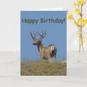 Carte Cerf mulet D9a en velours (Fleur jaune)
