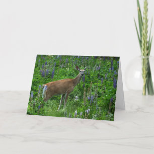 Carte Cerf parmi les lupines