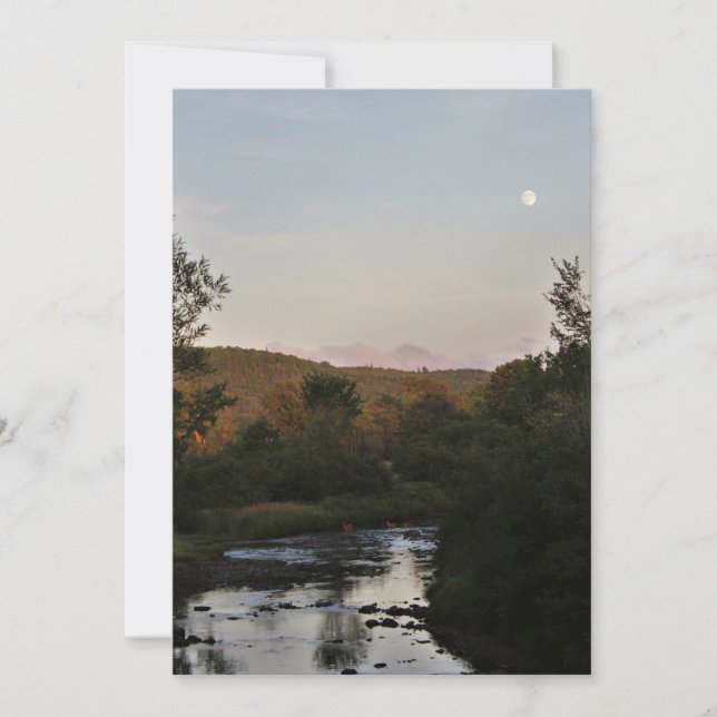 Carte Cerf sous la lune (Devant)