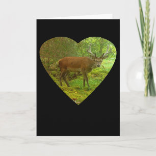 Carte Cerf Vigilant en forme de cœur Habitat naturel Ver
