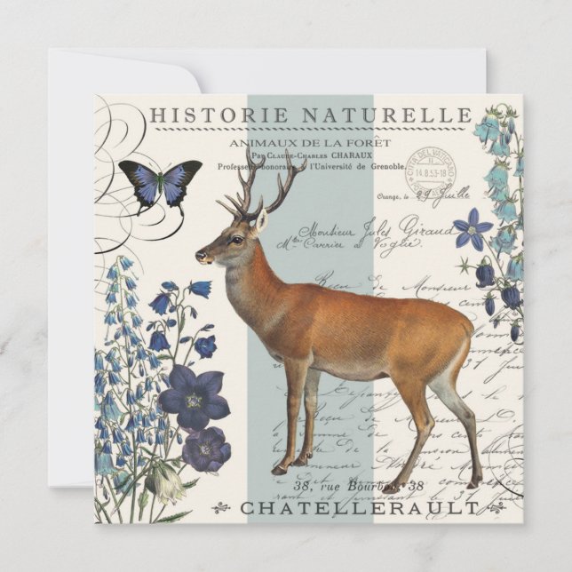 Carte cerf vintage moderne (Devant)