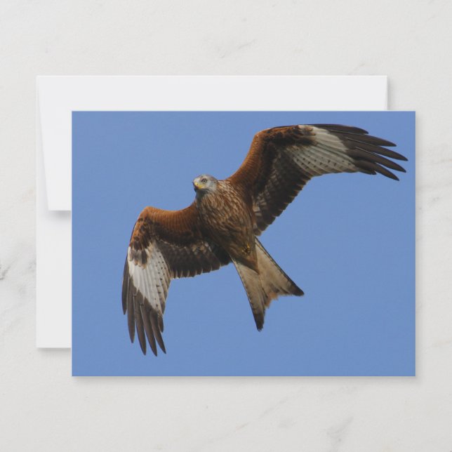 Carte Cerf-volant rouge (Devant)