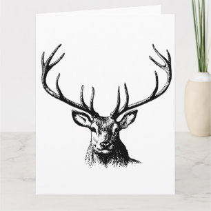 Carte Cerfs Animaux Antlers Nature Faune Hornes Pots