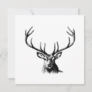 Carte Cerfs Animaux Antlers Nature Faune Hornes Pots
