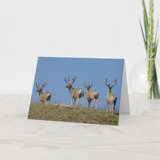 Carte Cerfs Mulets D9 en Velours (Devant)