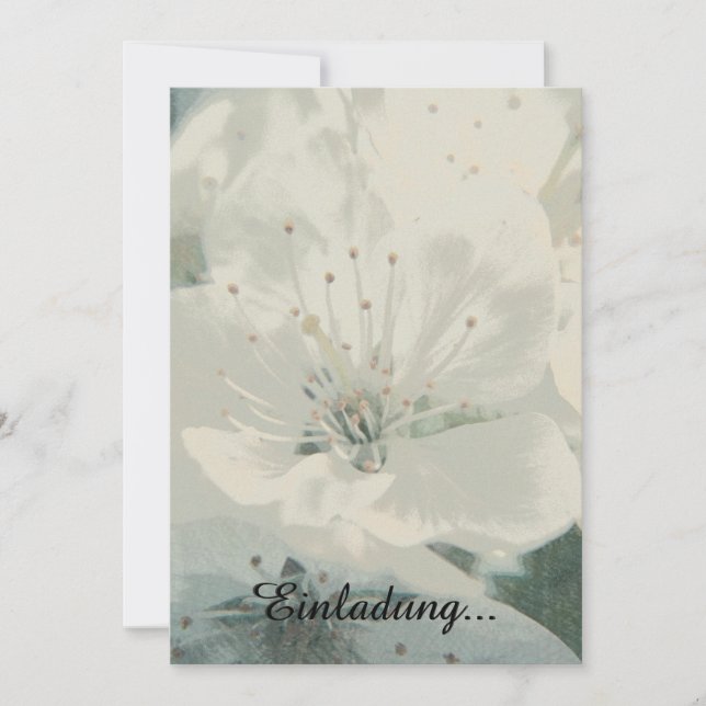 Carte Cerisier en fleurs (Devant)