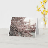 Carte Cerisier en fleurs Washington DC (Fleur jaune)
