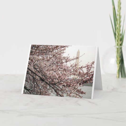 Carte Cerisier en fleurs Washington DC (Devant)