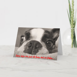 Carte Certains jours ne sont que des puces et pas de kib