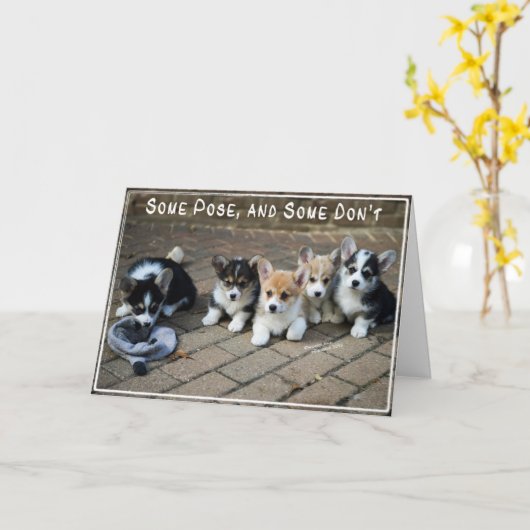 Carte Certains posent, certains ne font pas des chiots (Fleur jaune)