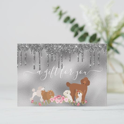 Carte Certificat cadeau Chien Grooming Animaux Animaux d (Debout devant)