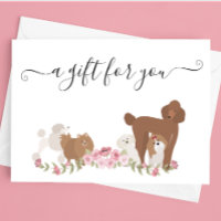 Certificat Cadeau Toilettage Chien Garderie Vétéri