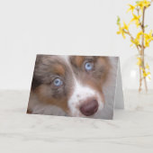 Carte Ces yeux (Fleur jaune)