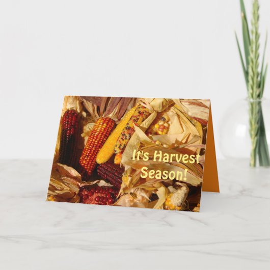 Carte C'est la saison des récoltes, jolie scène d'automn (Devant)