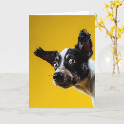 Carte "C'est le chien" Anniversaire (Fleur jaune)