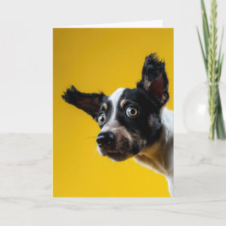 Carte "C'est le chien" Anniversaire