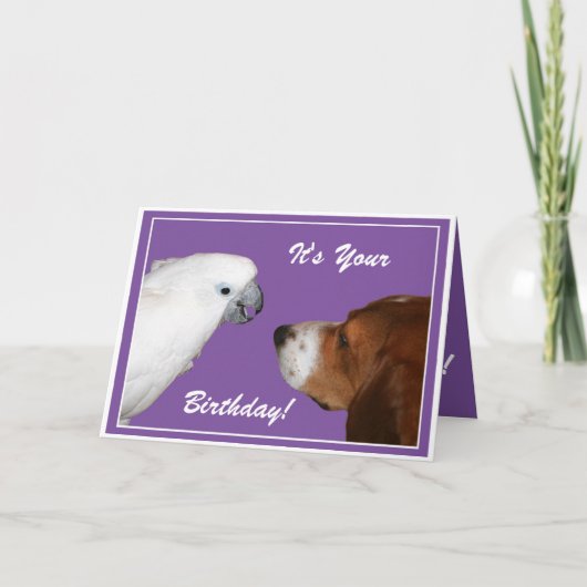 Carte C'est ton anniversaire (Devant)