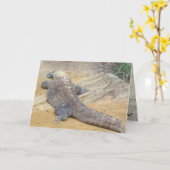 Carte C'est ton anniversaire - Marche du côté sauvage (Fleur jaune)