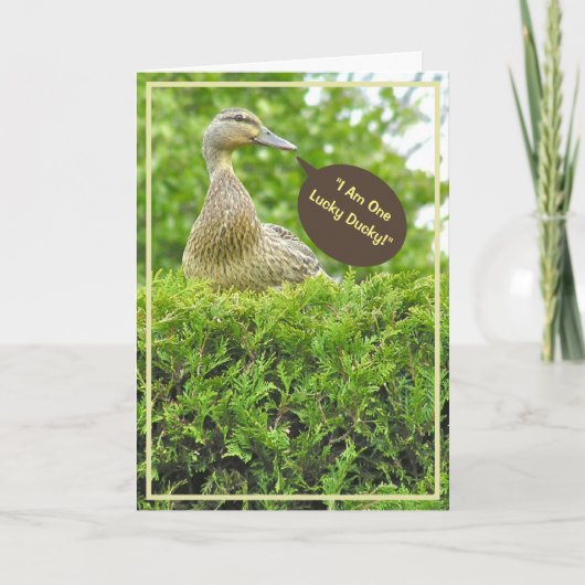 CARTE CHALEUREUX DUCKY/VOUS A OBTENU POUR UN PÈRE/DUCK S (Devant)