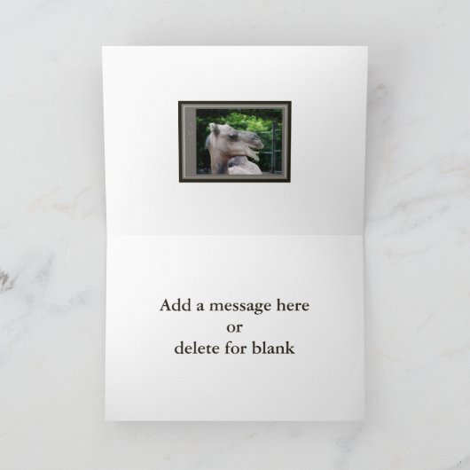 Carte Chameau Dromadaire Faune (Intérieur)