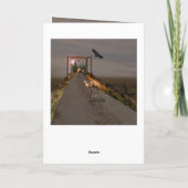 Carte Chameaux À Pied Vers Wonderland, Anniversaire (Dos)