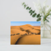 Carte chameaux dans le désert sous ciel bleu (Debout devant)