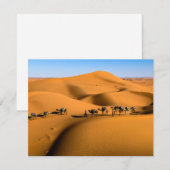 Carte chameaux dans le désert sous ciel bleu (Devant / Derrière)