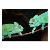 Carte Chameleon (Devant horizontal)